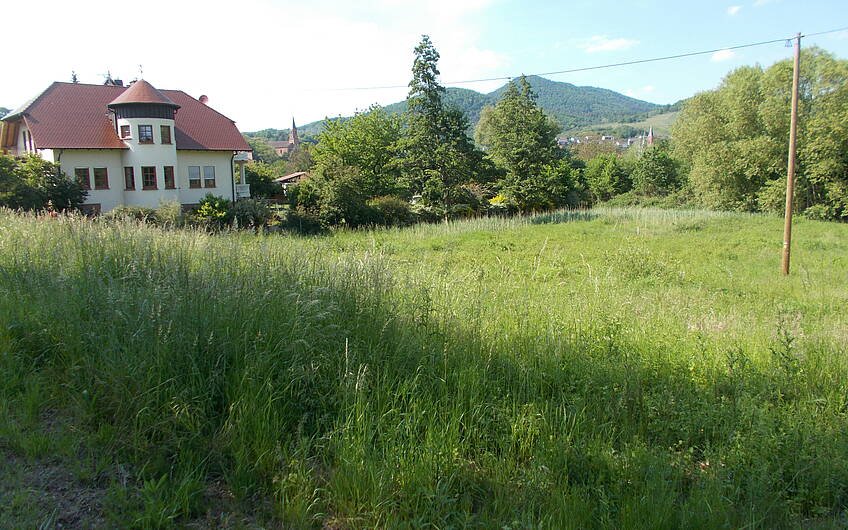 Grundstück für das individuell geplante Einfamilienhaus Luna von Kern-Haus in Albersweiler