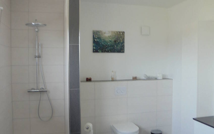 Blick auf WC und Dusche im Badezimmer in der Kern-Haus-Stadtvilla Signus in Obrigheim