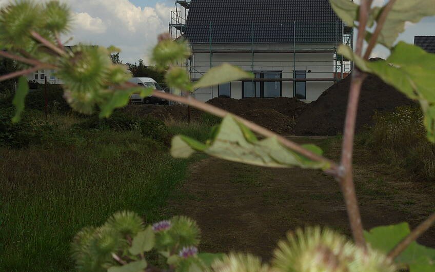Ansicht vom Feld aus auf das individuell geplante Einfamilienhaus Luna von Kern-Haus in Bruchsal und seinen Garten