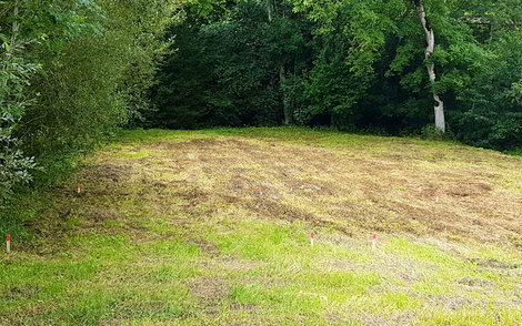 Wiesengrundstück mit Baumbestand im hinteren Grundstücksteil.