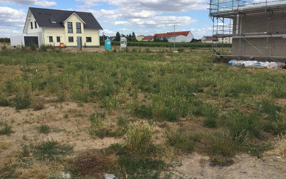 Grundstück für den individuell geplanten Bungalow Balance von Kern-Haus in Weinolsheim