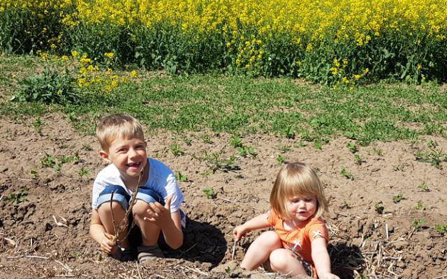 Kern-Haus Kinder im Feld