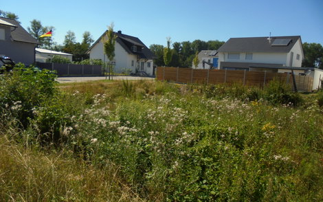 Bauplatz in Dettenheim für das individuell geplante Einfamilienhaus Luna von Kern-Haus im Rohzustand