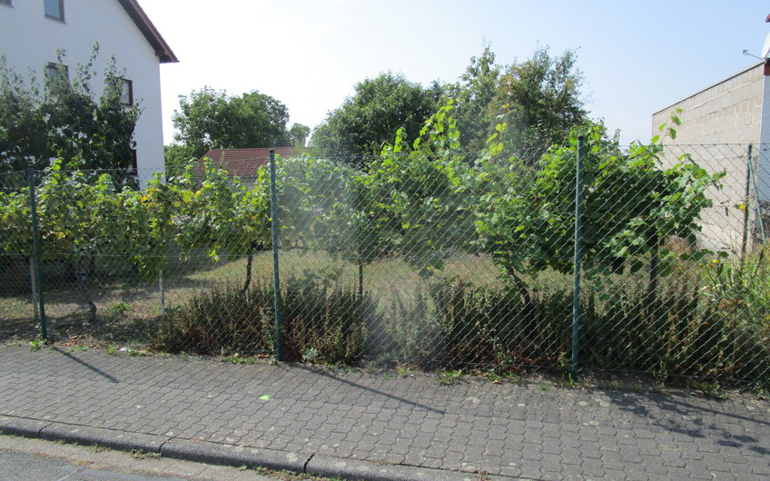 Das Baugrundstück                               
