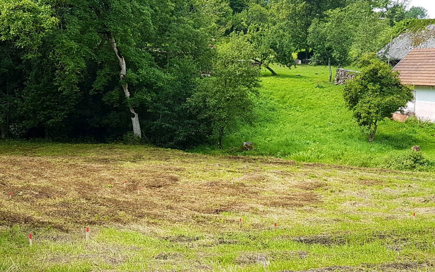 Wiesengrundstück mit Holzpfählen für die Grobabsteckung.