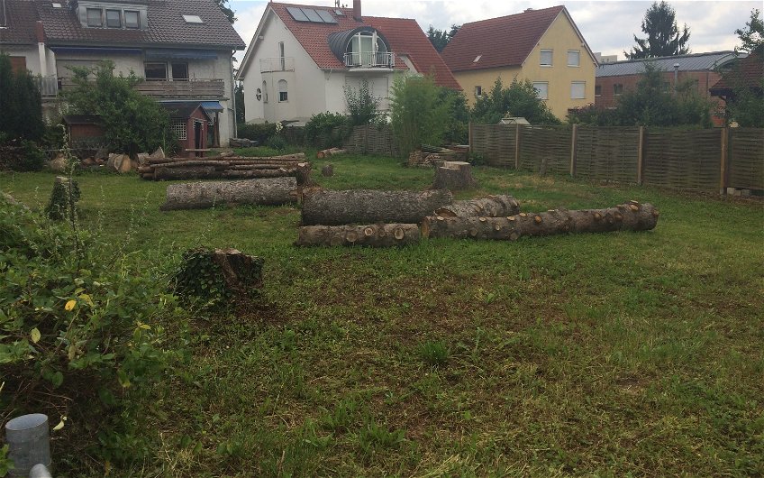 Die Bäume auf dem Grundstück wurden bereits gefällt. 