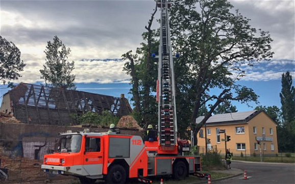 Feuerwehr beim Baumbeschnitt auf Grundstück für Kern-Haus Rohbau in Baalsdorf