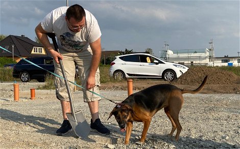 Familienhund hilft Bauherren beim Graben für Grundsteinlegung des Kern-Haus Baleo in Eilenburg