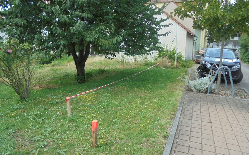 Baumfällung im Baufeld zur Grundstücksvorbereitung für das frei geplante Einfamilienhaus von Kern-Haus in Frankenthal