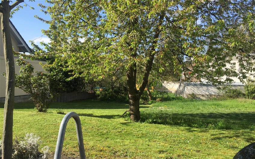 Grundstück für das frei geplante Einfamilienhaus von Kern-Haus in Frankenthal mit Rasen und Bäumen