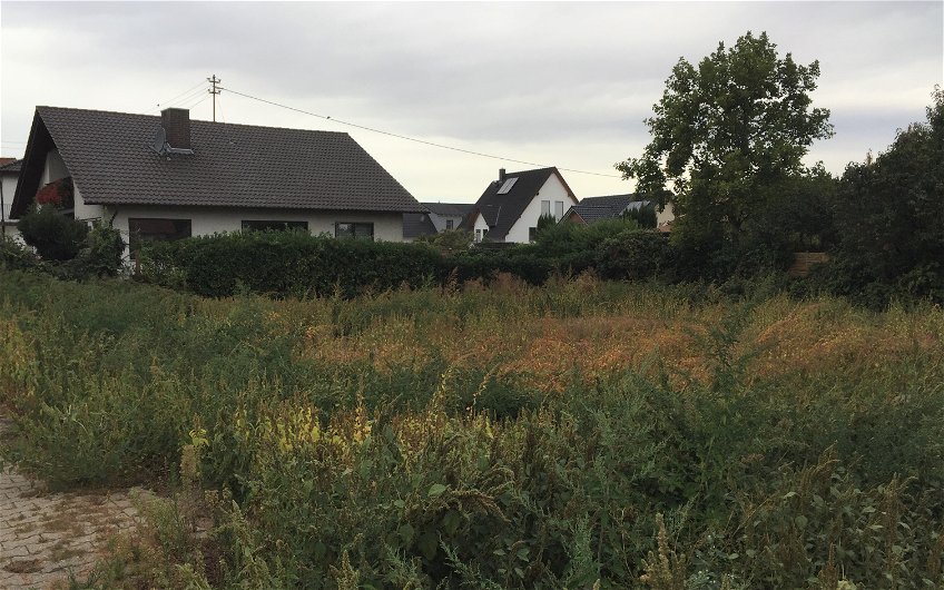 Grundstück für das individuell geplante Familienhaus Signus von Kern-Haus in Maxdorf