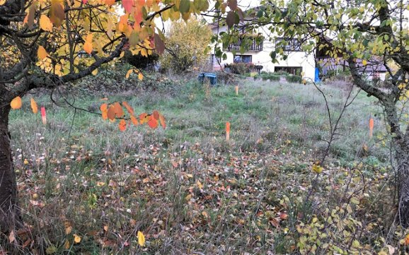 Grobabsteckung auf dem Grundstück für das frei geplante Familienhaus von Kern-Haus in Maulbronn-Zaisersweiher